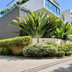 BIỆT THỰ HỒ BƠI 6 Phòng Ngủ 79 triệu