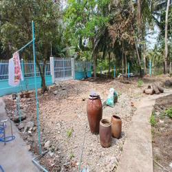 Thuê nhà nguyên căn