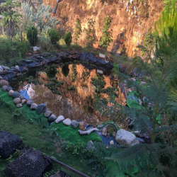 cho thuê nhà nguyên căn,khu đất rộng 400m2 ,thích hợp gia đình nhỏ