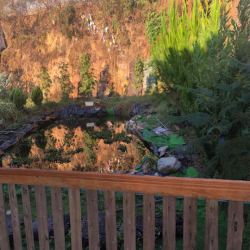 cho thuê nhà nguyên căn,khu đất rộng 400m2 ,thích hợp gia đình nhỏ