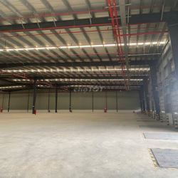 CHO THUÊ KHO BẾN LỨC LONG AN 4.300m² - 80K/M2
