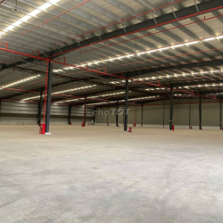 CHO THUÊ KHO BẾN LỨC LONG AN 4.300m² - 80K/M2