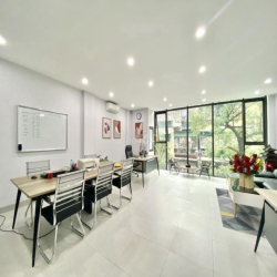 Cho thuê Biệt thự Bàu Bàng, Tân Bình, 12x30m, Hầm trệt 3 lầu, sân vườn