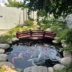 BIỆT THỰ SÂN VƯỜN CAO CẤP – NGAY TRUNG TÂM THÀNH PHỐ MỚI