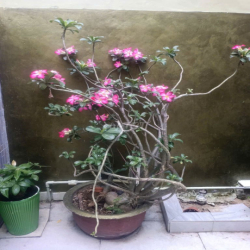 NHÀ ĐẸP FULL NỘI THẤT