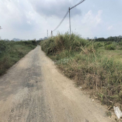 Cho thuê đất vườn Nhà Bè