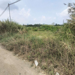 Cho thuê đất vườn Nhà Bè