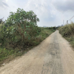 Cho thuê đất vườn Nhà Bè