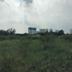 Cho thuê đất vườn Nhà Bè