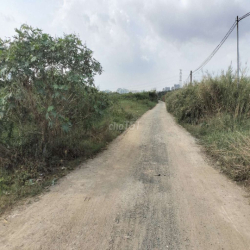 Cho thuê đất vườn Nhà Bè