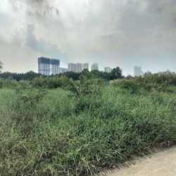 Cho thuê đất vườn Nhà Bè