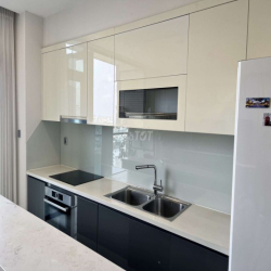 Cho thuê căn hộ quận 1. Vinhomes golden river bason 2PN