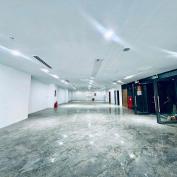 MTKD Nguyễn Thị Thập Q7 (Ngay Lottle) - dt 15 x45m, 2H 12L 2TM