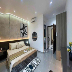 Siêu Phẩm Full Nội Thất Cao Cấp HXH Thông 3PN(có PN Trệt)