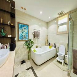 CHO THUÊ BIỆT THỰ ĐƠN LẬP MỸ VĂN 1 PHÚ MỸ HƯNG Q7