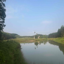 cần cho thuê mãnh đất 15000m2 tại phú bài