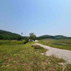 cần cho thuê mãnh đất 15000m2 tại phú bài