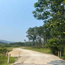 cần cho thuê mãnh đất 15000m2 tại phú bài