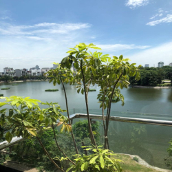 Cho Thuê Căn Hộ Dịch Vụ Studio 70m2 View Hồ Ba Mẫu, Đống Đa, Hà Nội