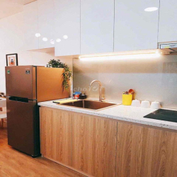 Cho thuê căn hộ Sunrise CityView Q7 Lh :