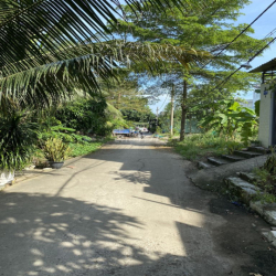 Cho thuê nhà sân vườn , diện tích 165m2 , gần cầu Phước Long