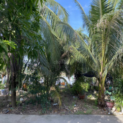 Cho thuê nhà sân vườn , diện tích 165m2 , gần cầu Phước Long