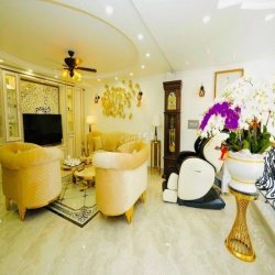 Cho thuê biệt Thự 340B Võ Văn Tần, Phường Võ Thị Sáu, Quận 3