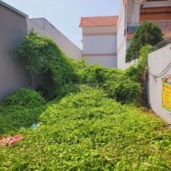 Cho thuê đất mặt tiền tại Mỹ Yên, Tây Ninh (Long An)