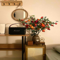 Thuê thì NGON LUÔN! đẹp rẻ nhất Q4. full dịch vụ free nhiều thứ