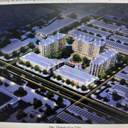 Cho thuê căn hộ eco cityy