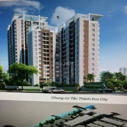 Cho thuê căn hộ eco cityy