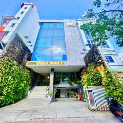 [Cho Thuê] Toàn Nhà!!! Mặt tiền Điện Biên Phủ, Phường Đakao, Quận 1,