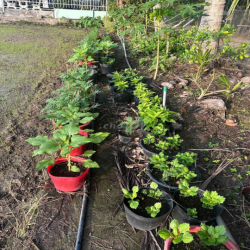 Ban nhà mặt tiền QL63. DT đất 372,3 m2