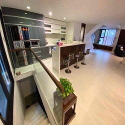 BIỆT THỰ ĐẸP 5PN LIỀN KỀ PHÚ MỸ HƯNG