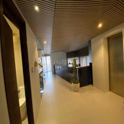 BIỆT THỰ ĐẸP 5PN LIỀN KỀ PHÚ MỸ HƯNG