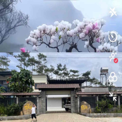 khu nghỉ dưỡng và mặt bằng kinh doanh