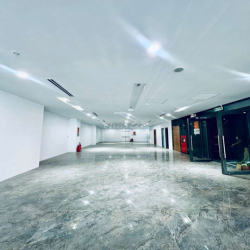 ​CHO THUÊ TÒA NHÀ 8X30M HOÀNG HOA THÁM - 1 HẦM 7 TẦNG - GIÁ 95TR