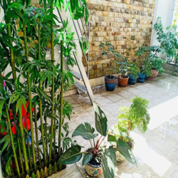 Sleep box khu dan cư Trung Sơn giá mềm