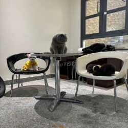 NHÀ KHU DÂN CƯ SENTUTURIA,CÓ BẢO VỆ,DT 5*20M,2LAU 3PN,4WC,SÂN ĐẬU OTO