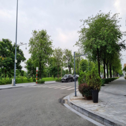 Cho thuê biệt thự The Manor Nguyễn Xiển 200m2, có thang máy, hồ bơi