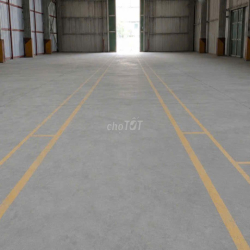 Cho thuê kho Nguyễn Văn Quỳ – 1200m2 – tách diện tích linh hoạt 