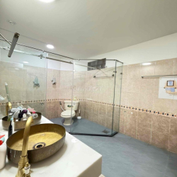 Villa Vintage siêu hiếm ở Thảo Điền, mảng xanh bao quanh