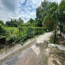 CHO THUÊ 1000m2 PHÚ MỸ, XÃ PHÚ HOÀ ĐÔNG, CỦ CHI