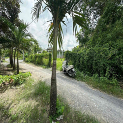 CHO THUÊ 1000m2 PHÚ MỸ, XÃ PHÚ HOÀ ĐÔNG, CỦ CHI