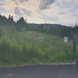 Cho thuê dài hạn đất 755m. đường xe Cont,