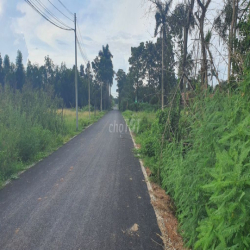 Cho thuê dài hạn đất 755m. đường xe Cont,