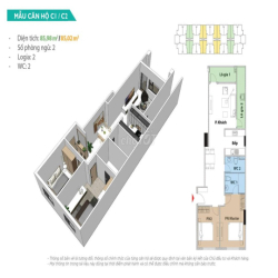 HOT-20 Căn Trống Cho Thuê Nhà Mới 100%- Đa dạng diện tích + Nội Thất