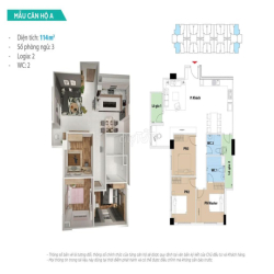 HOT-20 Căn Trống Cho Thuê Nhà Mới 100%- Đa dạng diện tích + Nội Thất