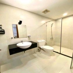 Cho thuê căn hộ Grand Riverside Q4 2pn 2wc 17tr y hình