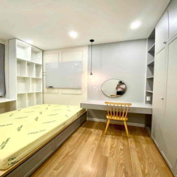 Cho thuê căn hộ Grand Riverside Q4 2pn 2wc 17tr y hình